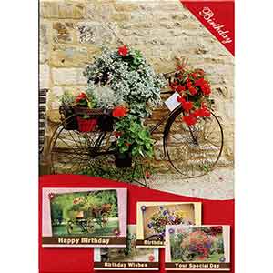 Flower Peddler Greeting Cards