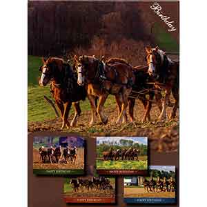 Horsepower Greeting Cards