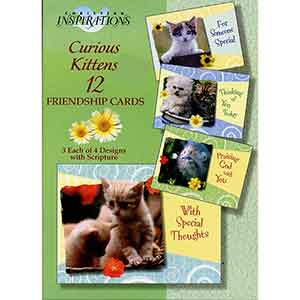 Curious Kittens Greeting Cards