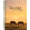 Peace of God Journal