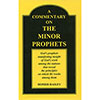 Commentary on the Minor Prophets