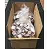 WCC Prefilled Communion Cups 200 Count