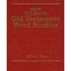 New Wilson's Old Testament Word Studies