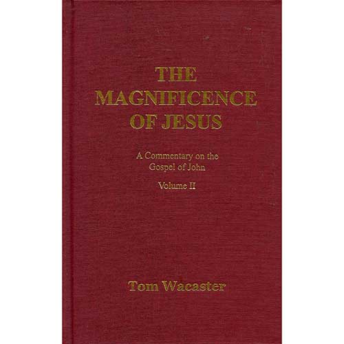 The Magnificence of Jesus